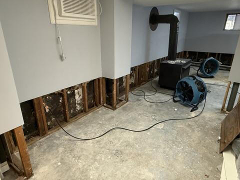 Water damage dry-out